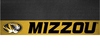 University of Missouri