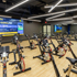 Rebound Woodgrain Rubber Sport Flooring